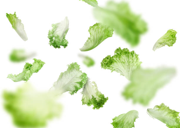 istock Fresh green lettuce leaves falling on white background 1603491939