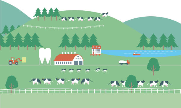 hodowla i produkcja mleka. ilustracja obrazu przedstawiająca hodowcę bydła mlecznego - surowe mleko stock illustrations
