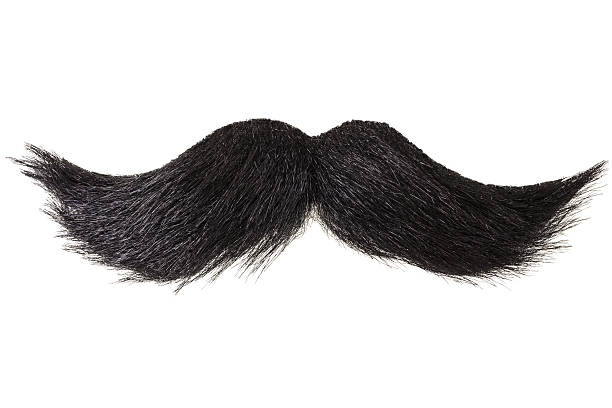 moustache de bouclés isolé sur blanc - fake mustache photos et images de collection