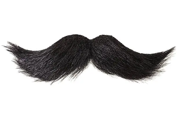 Photo of Curly moustache isolated on white