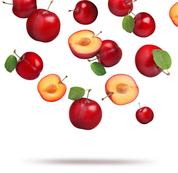 istock Many fresh cherry plums falling on white background 1603515119