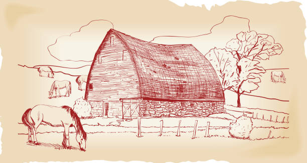 Barn with Pasture and Horses vector art illustration
