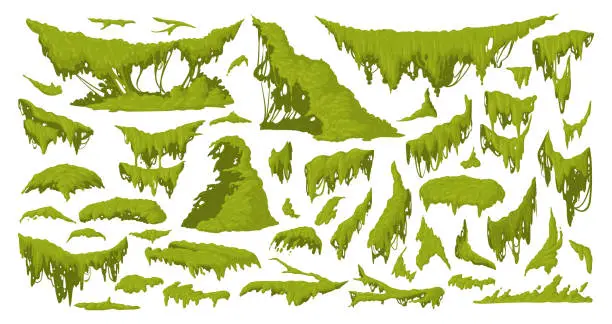 Vector illustration of Cartoon jungle moss. Green moss plants, hanging and creeping lichen and moss flat vector illustration set. Rainy forest flora collection