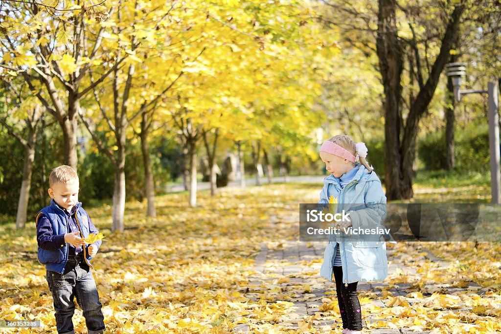 Bambini in un parco colorato autunno - Foto stock royalty-free di Accudire