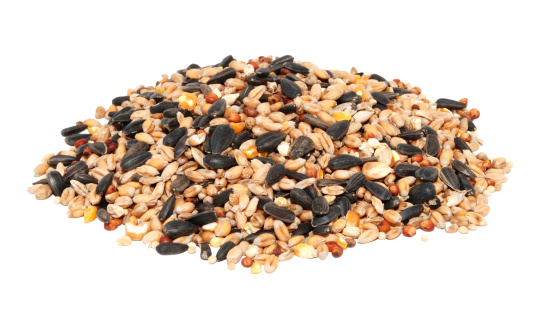 Pile of bird seed including sunflower seeds, wheat and maize
