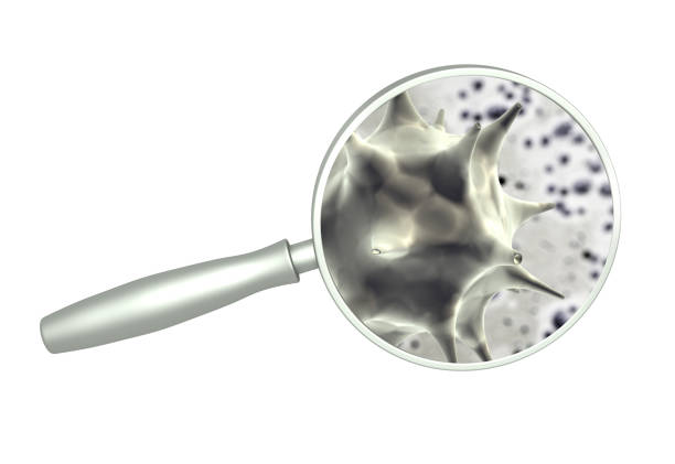 Magnifying glass and pathogenic bacterias and viruses. Fast multiplication of bacteria. Infection and microbe. Isolated on white background. 3d render
