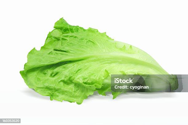 Lettuce - Fotografias de stock e mais imagens de Agricultura - Agricultura, Artificial, Comida