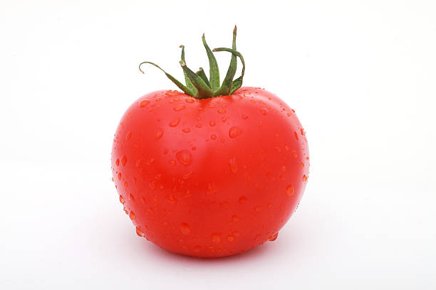 Tomate - fotografia de stock