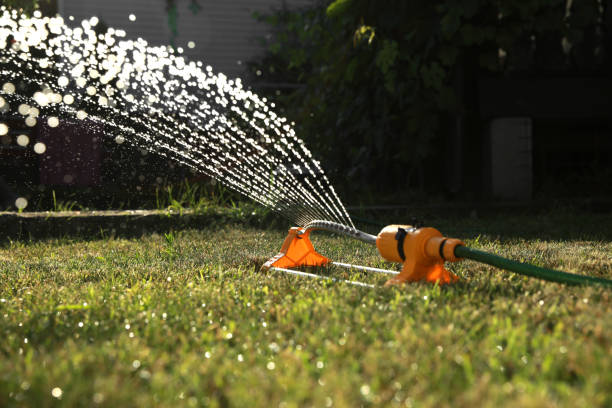 istock Automatic sprinkler watering green grass on sunny day outdoors. Irrigation system 1603546535