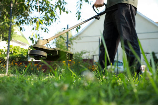 istock Man cutting green grass with string trimmer outdoors, closeup 1603546537