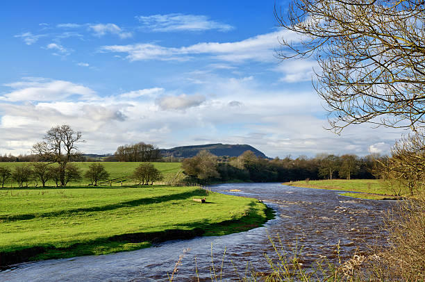 blick auf den fluss, in der nähe des ribble clitheroe. - ribble stock-fotos und bilder