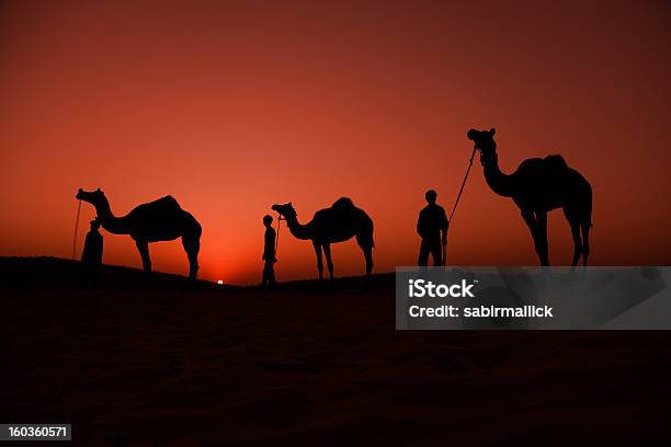 Silhueta De Camelo De Pushkar Riders - Fotografias de stock e mais imagens de Camelo - Camelo, Feira de Camelos de Pushkar, Fotografia - Imagem