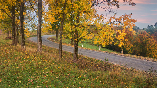 asphalt road in mountains. trip through countryside in autumn. trees in fall foliage along the pass