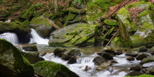 istock moss covered rocks in the creek 1603614951