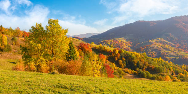 istock carpathian rural landscape in autumn 1603616593