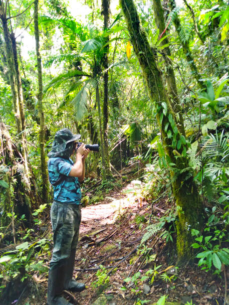 istock Photographer using long-distance lens, with camouflage clothing, in dense forest environment 1603627096