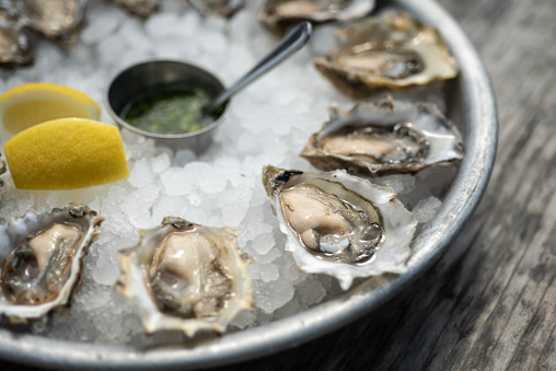 Live oysters in the waters of Connecticut