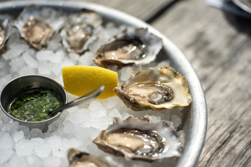 Fresh oysters served on a bed of ice