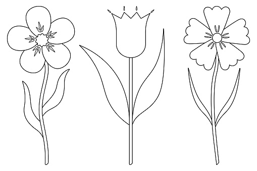 Flowers. Sketch. Set of vector illustrations. Violet, tulip, cornflower. Delicate plants with leaves. Flowering plants. Coloring book for children. Doodle style. Outlines on an isolated background. Idea for web design, invitations, postcards.