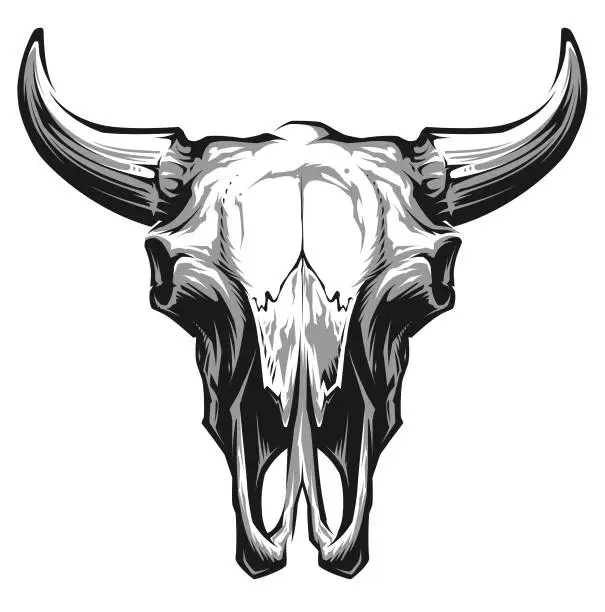 Vector illustration of Bull  Skull