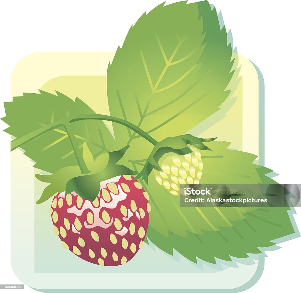 wild Strawberry - Lizenzfrei Blatt - Pflanzenbestandteile Vektorgrafik