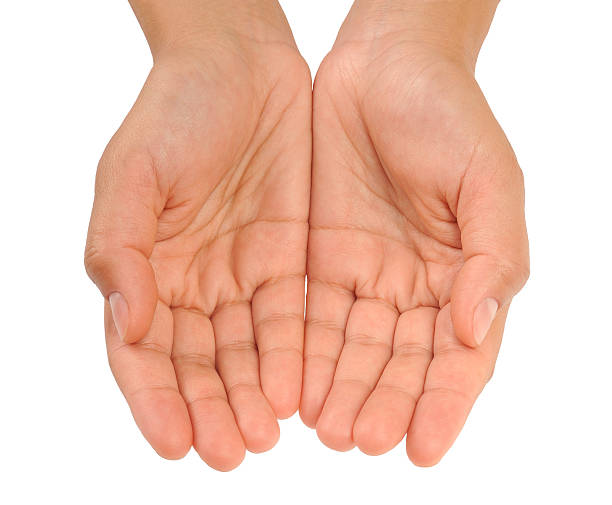 Cupped hands of young woman stock photo