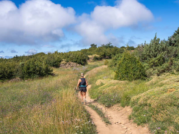 istock Woman doing sport in the mountains 1603689931