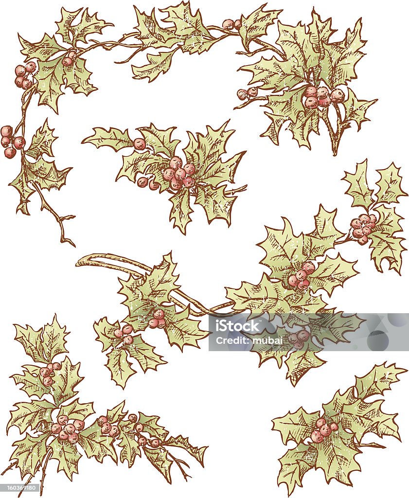 branches de houx - clipart vectoriel de Branche - Partie d'une plante libre de droits