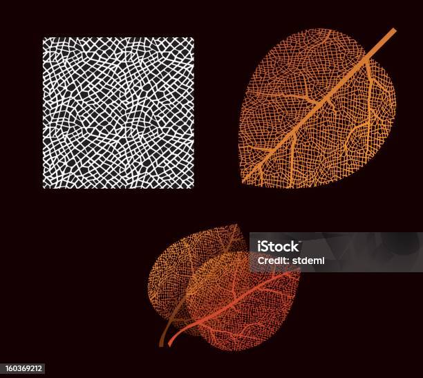 Ilustración de Hojas De Otoño y más Vectores Libres de Derechos de Nervio de hoja - Nervio de hoja, Patrones visuales, Con textura