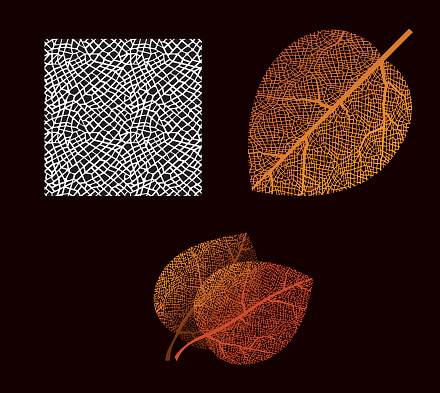 seamless pattern and leaves based on it (leaves at bottom distorted with 