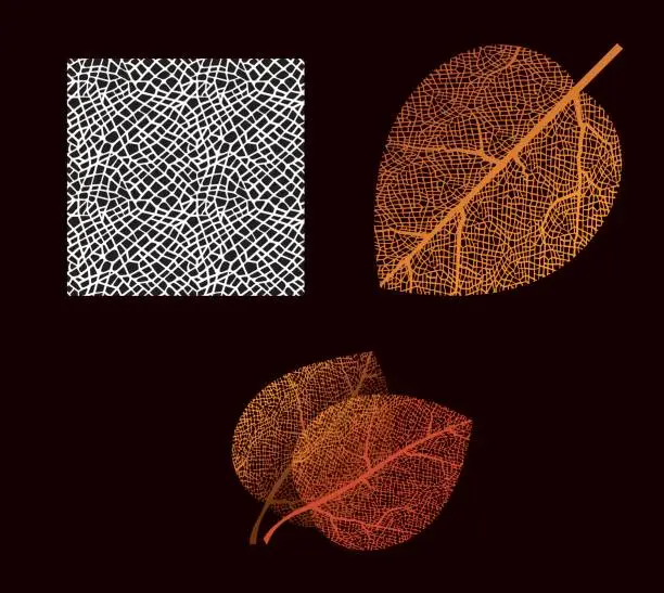 Vector illustration of autumn leaf