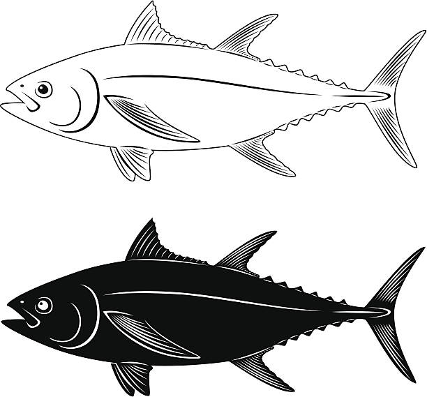 tuna fish - tuna spearfishing sea bream illustrated stock illustrations