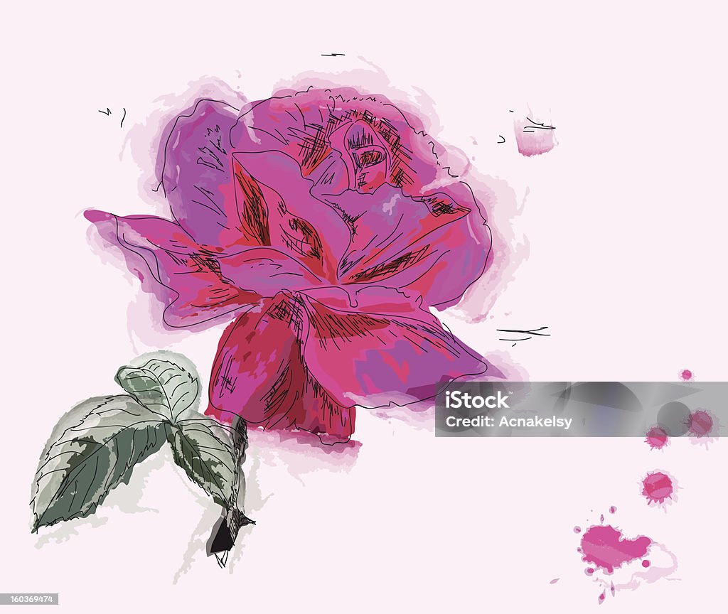 Dipinto di una rosa - arte vettoriale royalty-free di Arredamento