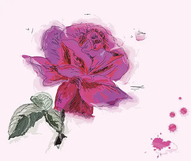 Vector illustration of Painting a Rose