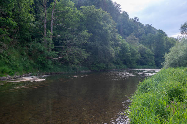 istock River landscape - The river Eder in a green landscape 1603697062