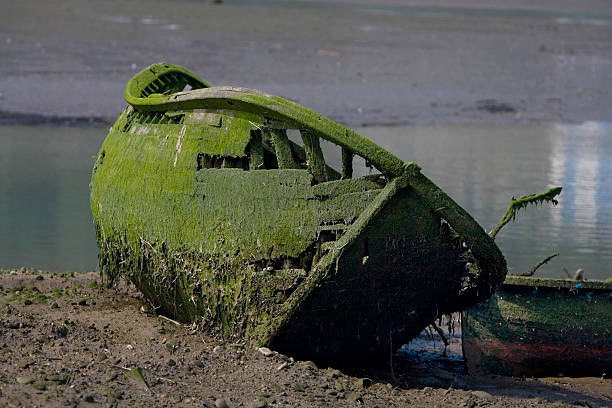istock Old boat covered in seaweed 160369833