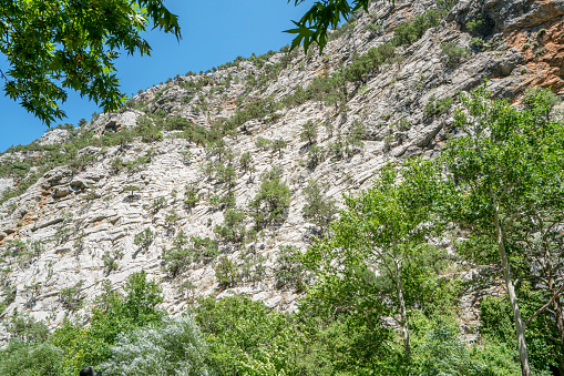 The scenic view of Üzümdere canyon, is an escape place for those overwhelmed by the humidity and heat of the city, in the summer season. The creek's water, which is a wonder of nature, clean and icy.