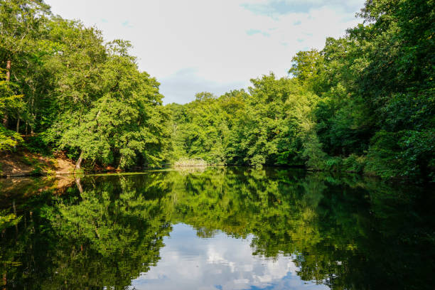 istock View over a lake surrounded by trees 1603705118