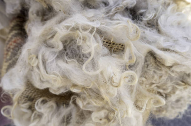 istock Virgin wool in a market 1603714800