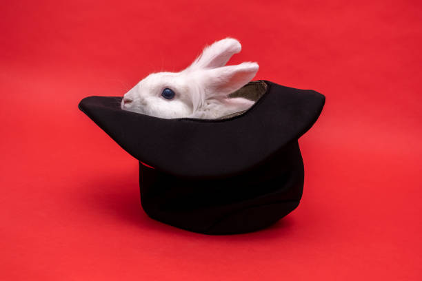 white cute rabbit sits in a black hat on red background. Cylinder hat. Focus with hare. circus performance illusion trickery Surprise with pet. Focus secret. fluffy cute rodent Animal in hat easter.