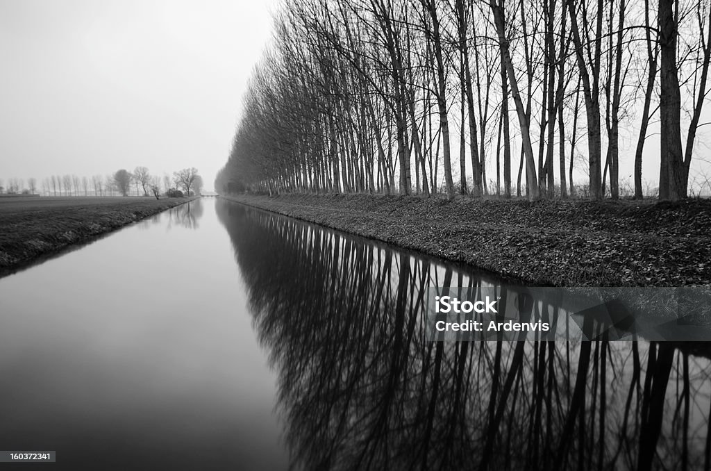 Bäume spiegelt sich in Wasser Langzeitbelichtung, körnig schwarz und weiß - Lizenzfrei Bach Stock-Foto