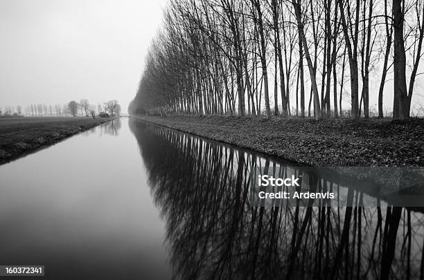 Alberi Riflesso Nellacqua Lunga Esposizione Sgranata Bianco E Nero - Fotografie stock e altre immagini di Acqua