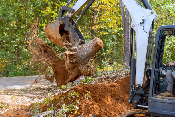 istock Utilizing skid steer tractor to remove a roots and clear land for housing complex construction 1603725732