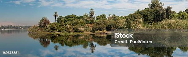 Bancos De Um Rio Grande - Fotografias de stock e mais imagens de Ao Ar Livre - Ao Ar Livre, Arbusto, Azul