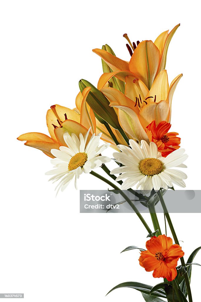 Bouquet - Royalty-free Amarelo Foto de stock