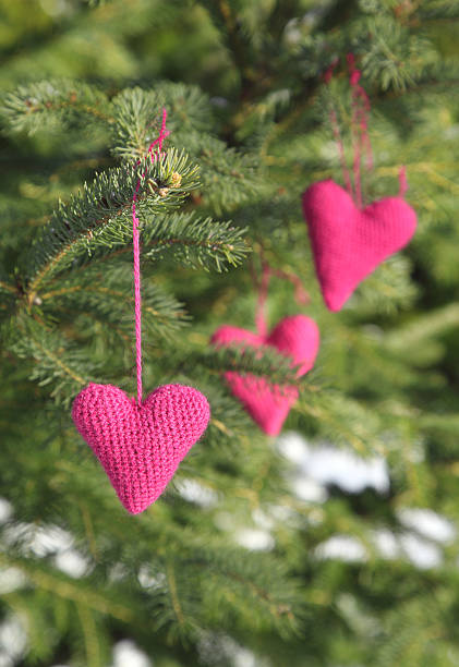 istock Knitted hearts hanging on a tree branch 160375320