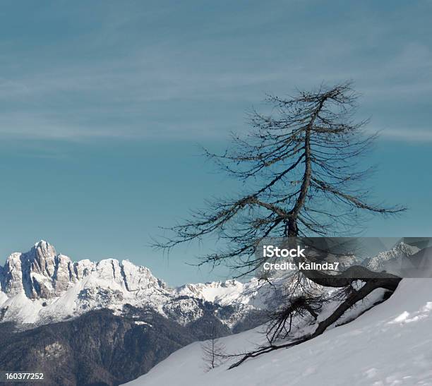 Foto de Inverno Na Montanha e mais fotos de stock de Alpes europeus - Alpes europeus, Beleza natural - Natureza, Belluno