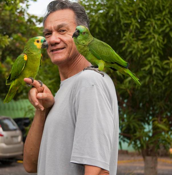 istock Man outside holding and playing with his Blue Fronted Amazon Parrot 1603788456