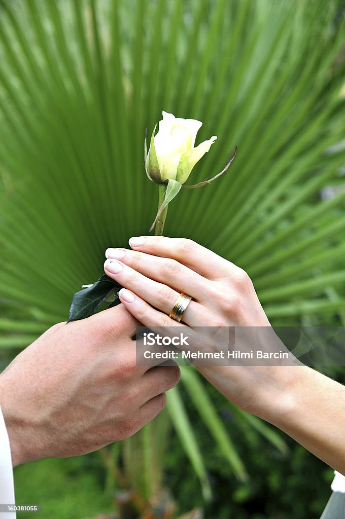 Just Married - Lizenzfrei Blau Stock-Foto