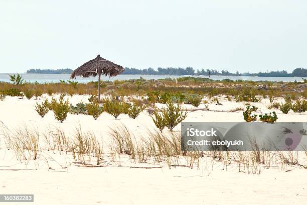 Plaża Tropikalny Krajobraz - zdjęcia stockowe i więcej obrazów Bez ludzi - Bez ludzi, Biały, Chmura